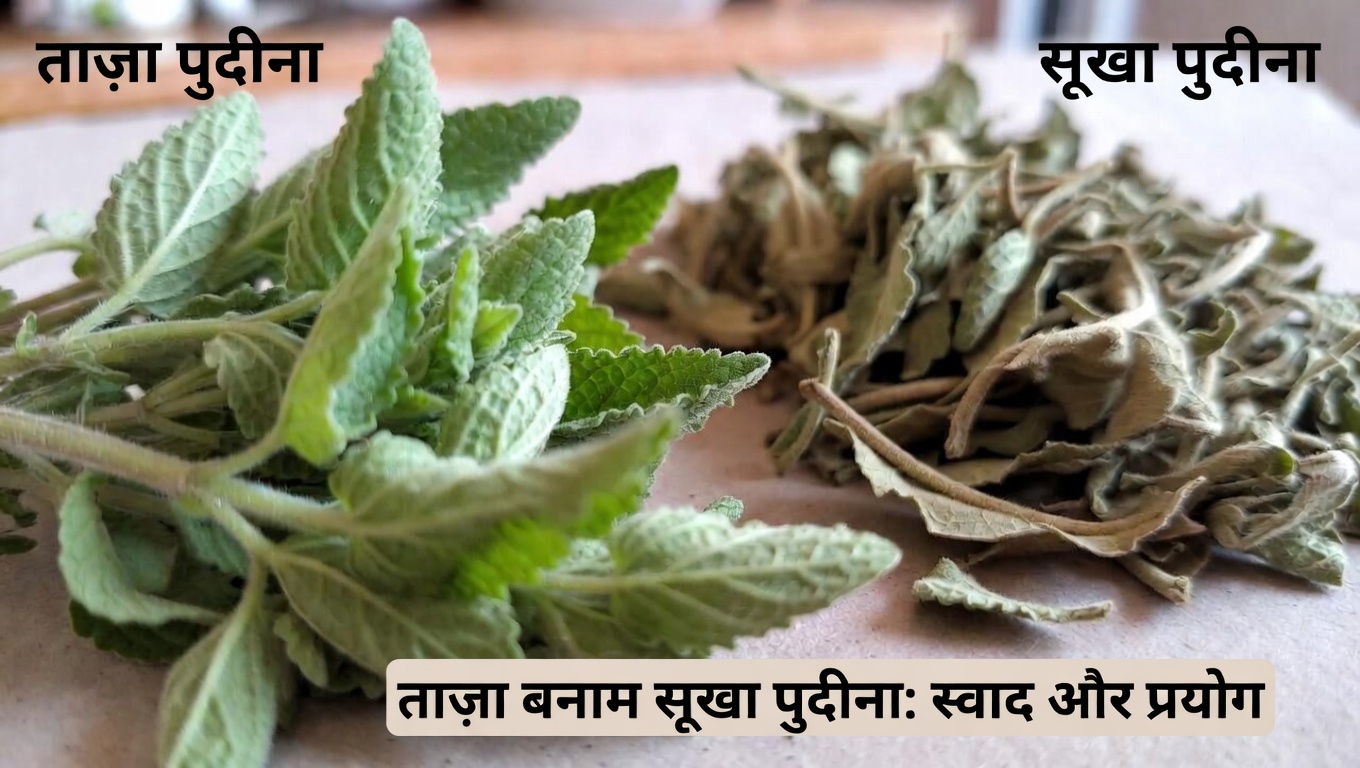 ओरेगानो ओरेहोन की खोज: एक पारंपरिक जड़ी-बूटी जो रोज़मर्रा के जीवन में आंखों के स्वास्थ्य का समर्थन कर सकती है