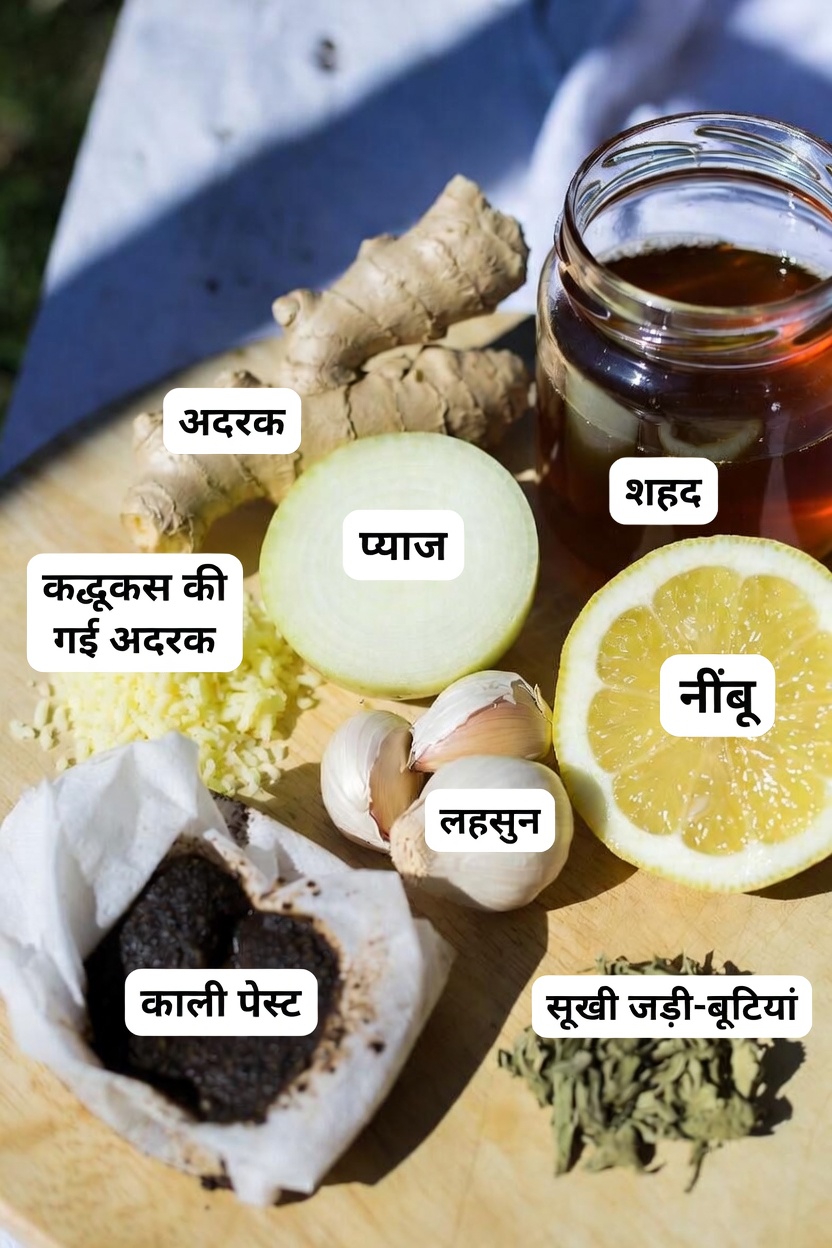 अदरक, लहसुन, प्याज, नींबू और शहद के मिश्रण के संभावित स्वास्थ्य लाभों की खोज: घर पर सरल तैयारी मार्गदर्शिका