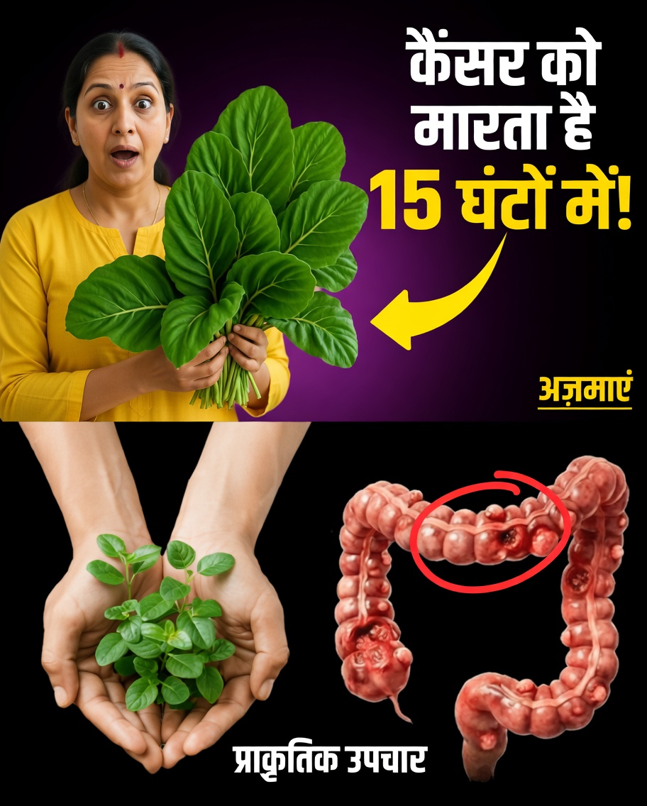 वह अनदेखी पत्ती जो आपके शरीर को कैंसर कोशिकाओं से लड़ने में मदद कर सकती है (और 14 और प्राकृतिक रणनीतियाँ जिनके बारे में बड़ी फार्मा कंपनियाँ नहीं चाहतीं कि आप जानें)