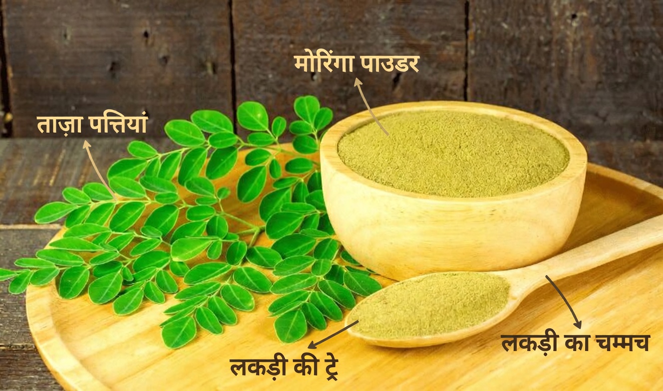 वह अनदेखी पत्ती जो आपके शरीर को कैंसर कोशिकाओं से लड़ने में मदद कर सकती है (और 14 और प्राकृतिक रणनीतियाँ जिनके बारे में बड़ी फार्मा कंपनियाँ नहीं चाहतीं कि आप जानें)