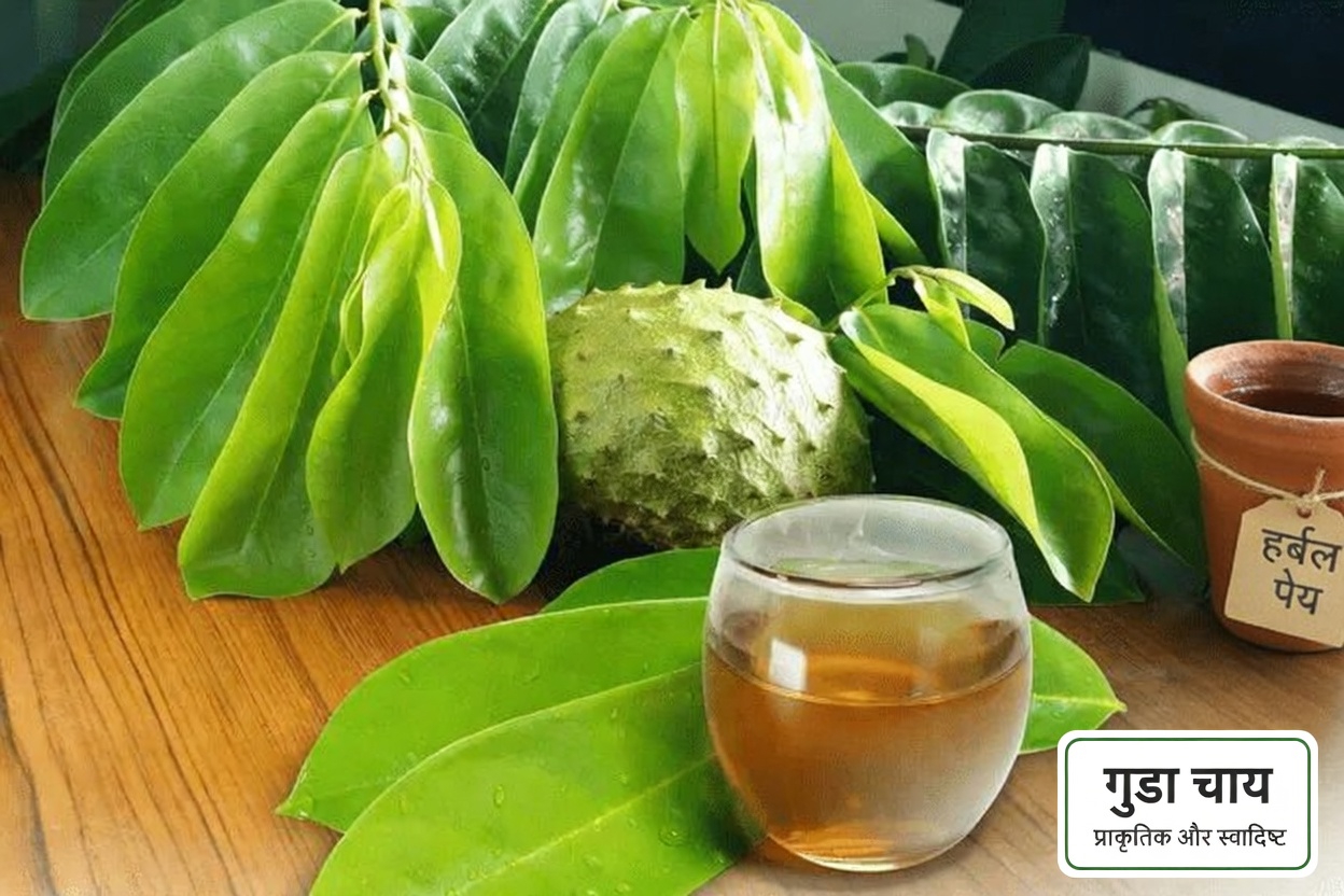 वह अनदेखी पत्ती जो आपके शरीर को कैंसर कोशिकाओं से लड़ने में मदद कर सकती है (और 14 और प्राकृतिक रणनीतियाँ जिनके बारे में बड़ी फार्मा कंपनियाँ नहीं चाहतीं कि आप जानें)