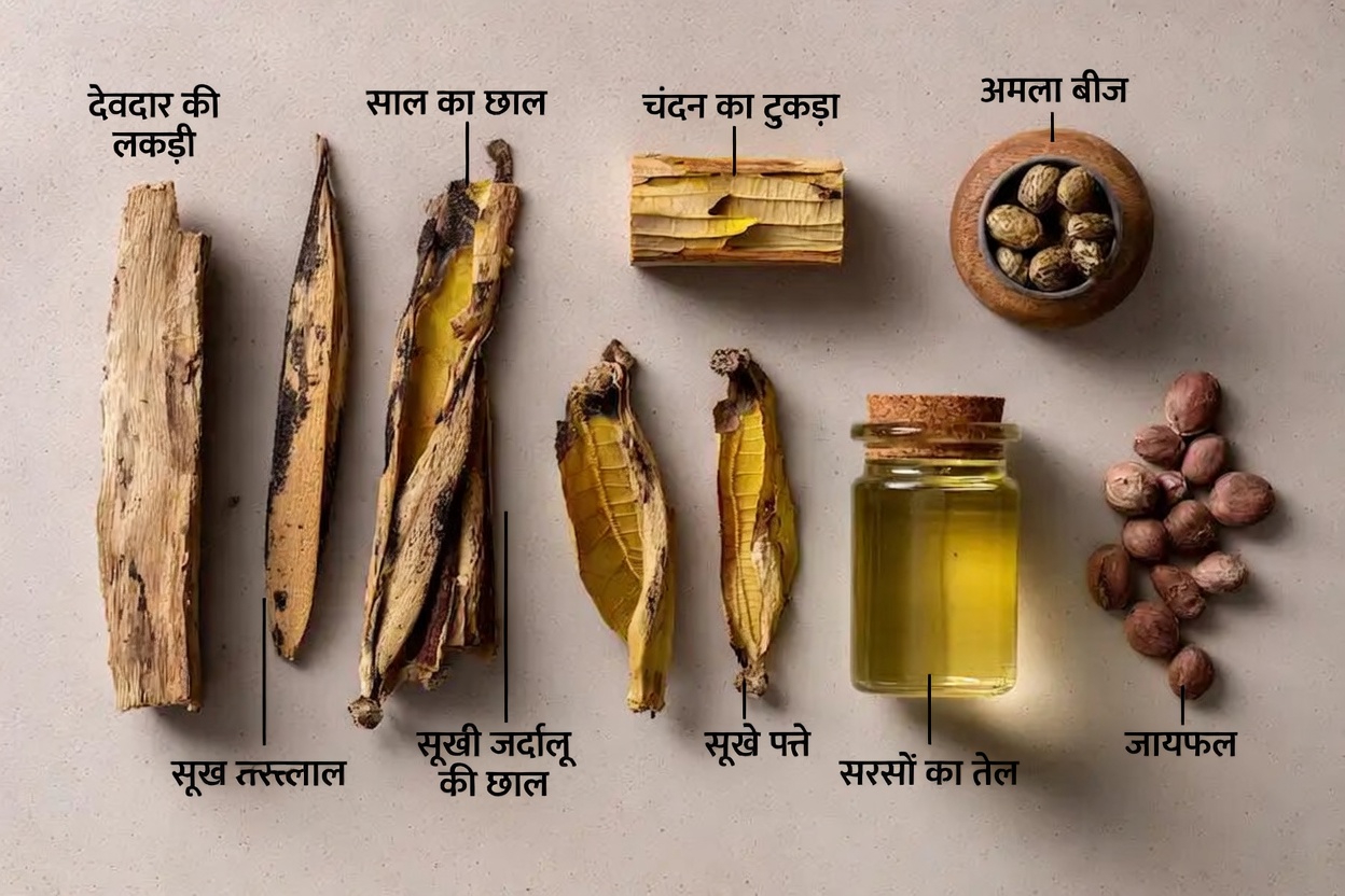 हनी लोकस्ट पेड़ की छिपी हुई शक्ति: लाभ और घरेलू उपयोग