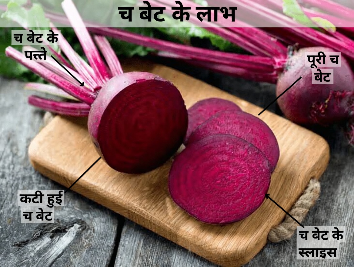 50 के बाद रोज़ खाएँ ये 12 प्राकृतिक खाद्य पदार्थ – पाएँ अधिक ऊर्जा, मज़बूत हड्डियाँ और तेज़ याददाश्त