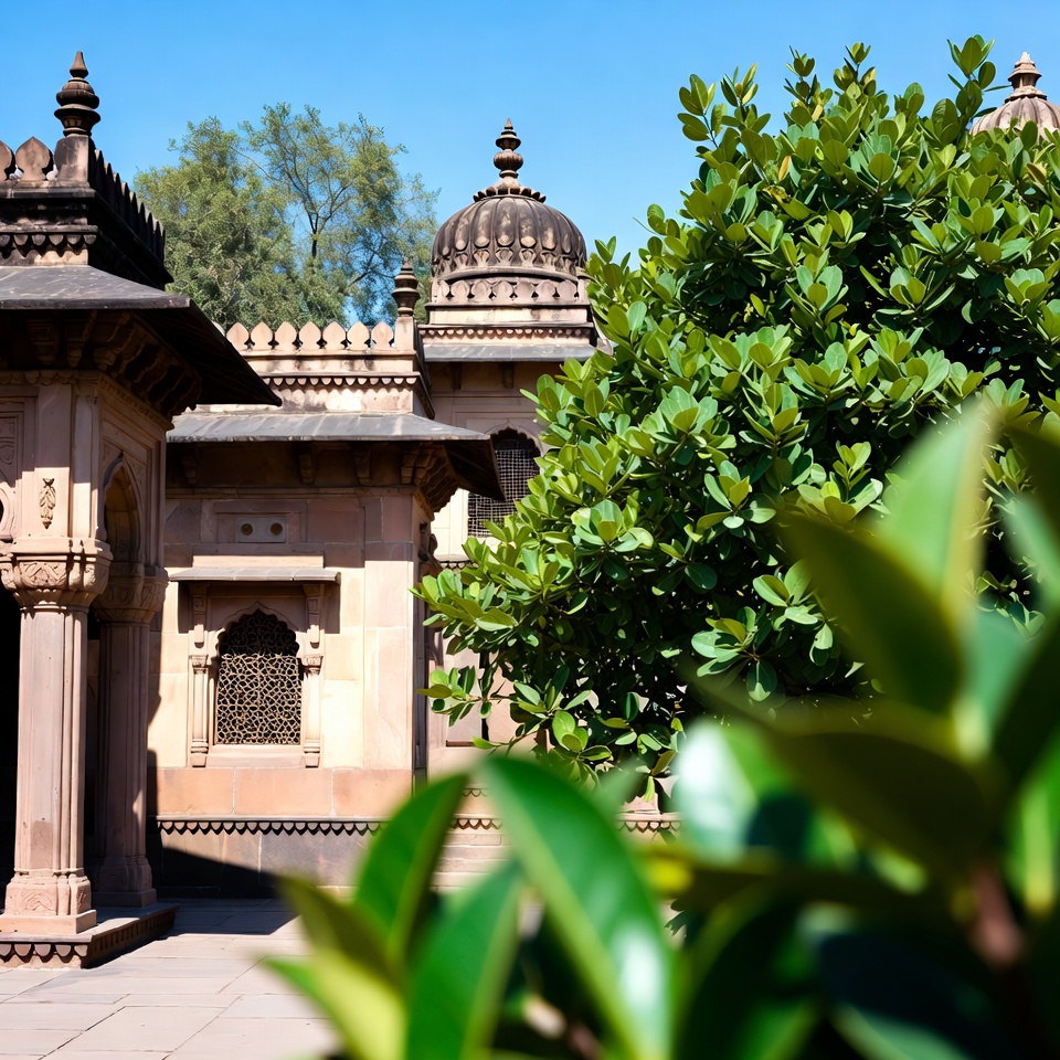 बेदाग एड़ियों का उष्णकटिबंधीय रहस्य: पपीते के रस का खुलासा