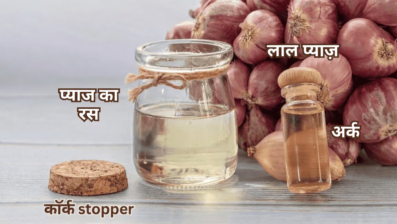 क्यों 1-सप्ताह का प्याज तेल रूटीन प्राकृतिक बालों की देखभाल में ध्यान आकर्षित कर रहा है