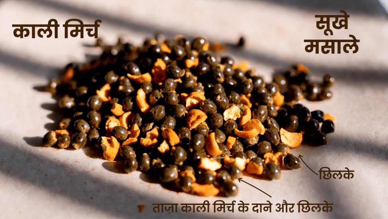 पपीते के बीजों के 17 चौंकाने वाले फायदे और उन्हें अपनी दिनचर्या में शामिल करने के आसान तरीके