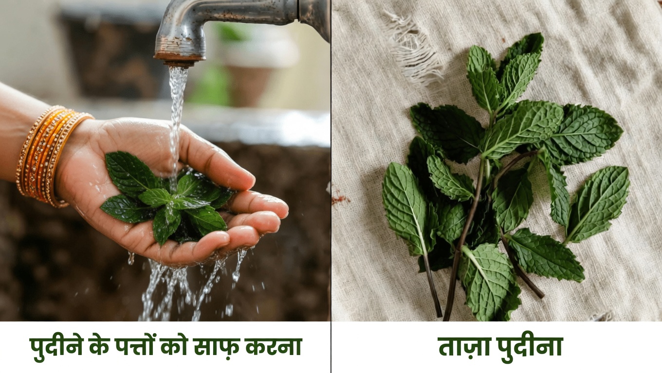 बेहतर आँखों के आराम और समग्र दृष्टि समर्थन के लिए अपनी दिनचर्या में पुदीने की पत्तियाँ कैसे शामिल करें