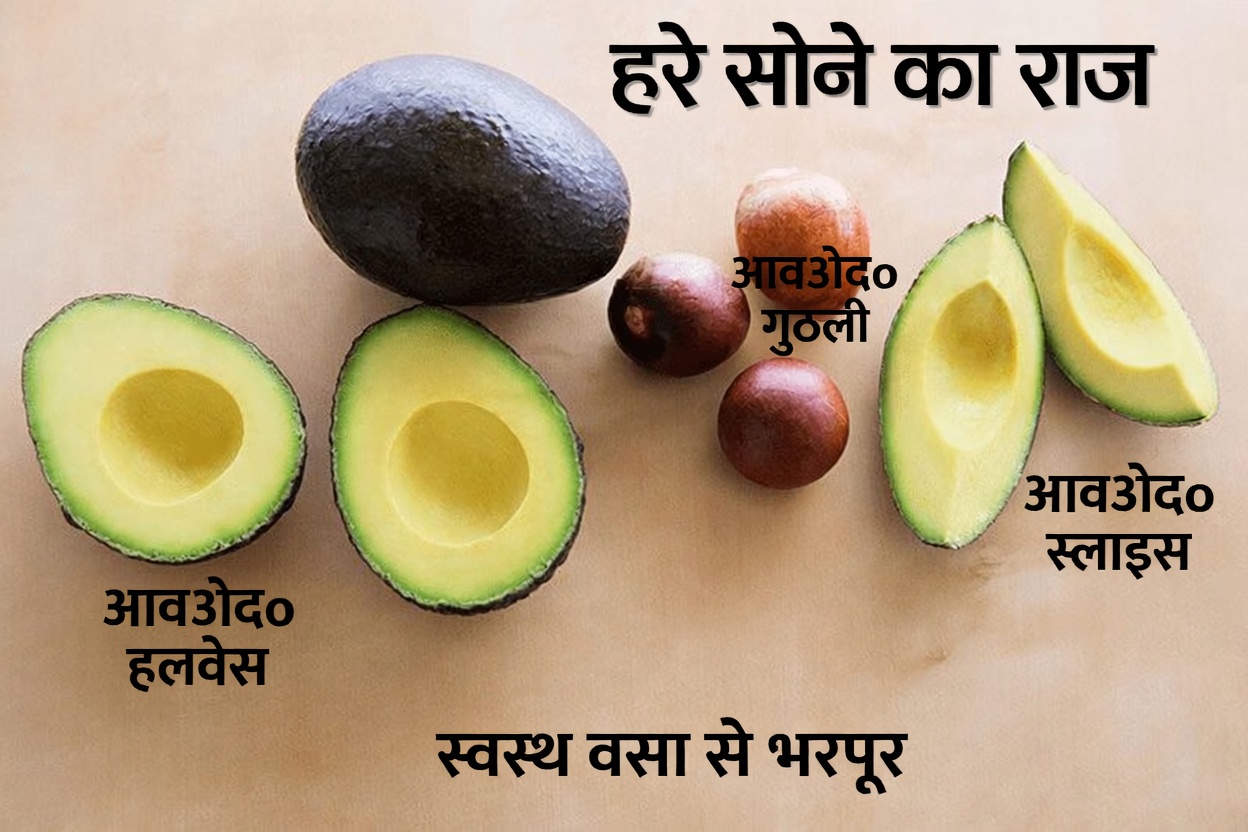 एवोकाडो के बीज और गुड़हल का वह अमृत जो आपके दैनिक डिटॉक्स में क्रांति ला सकता है