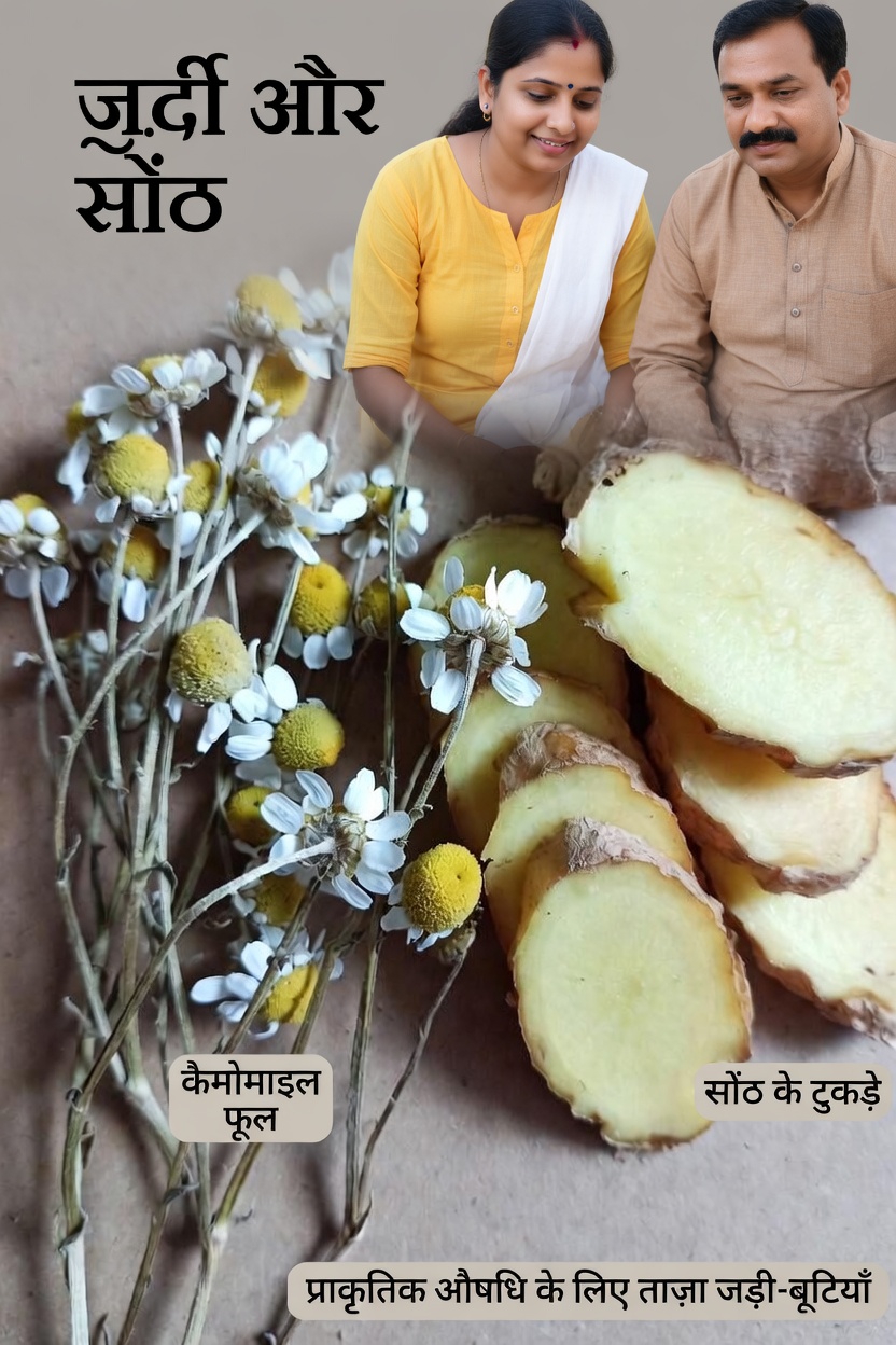 11 सुकून देने वाले सोने से पहले के पेय, जिन्हें आप अपनी किडनी के स्वास्थ्य को प्राकृतिक रूप से सहारा देने के लिए हर शाम पी सकते हैं