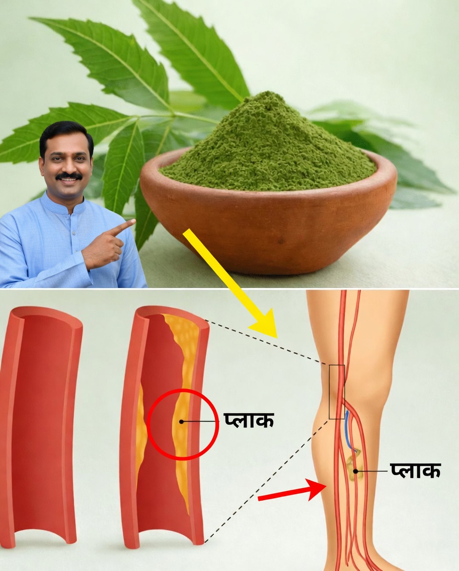 वह एक कड़वा पत्ता जो 60 से अधिक उम्र के अमेरिकियों के लिए दवाई के डिब्बों को चुपचाप अप्रासंगिक बना रहा है