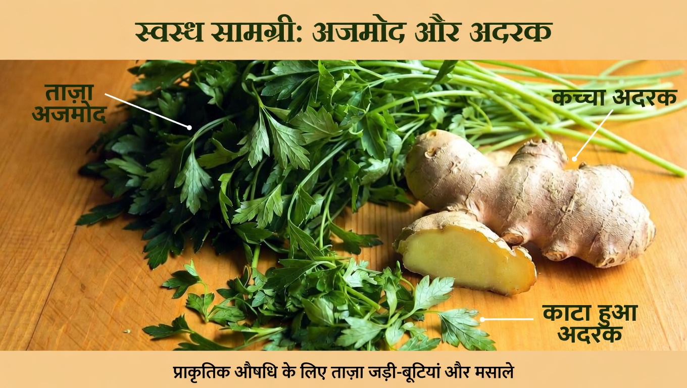 40 के बाद किडनी की सेहत को सहारा देने वाली 15 आसान दैनिक आदतें