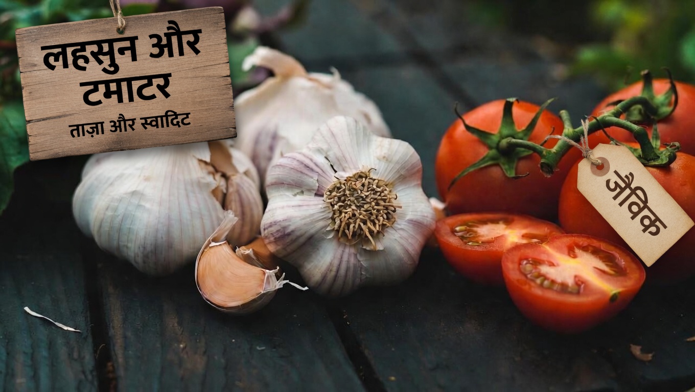 किडनी के स्वास्थ्य को सहारा देने और हर दिन अधिक ऊर्जावान महसूस करने के लिए सुबह की 15 शक्तिशाली आदतें