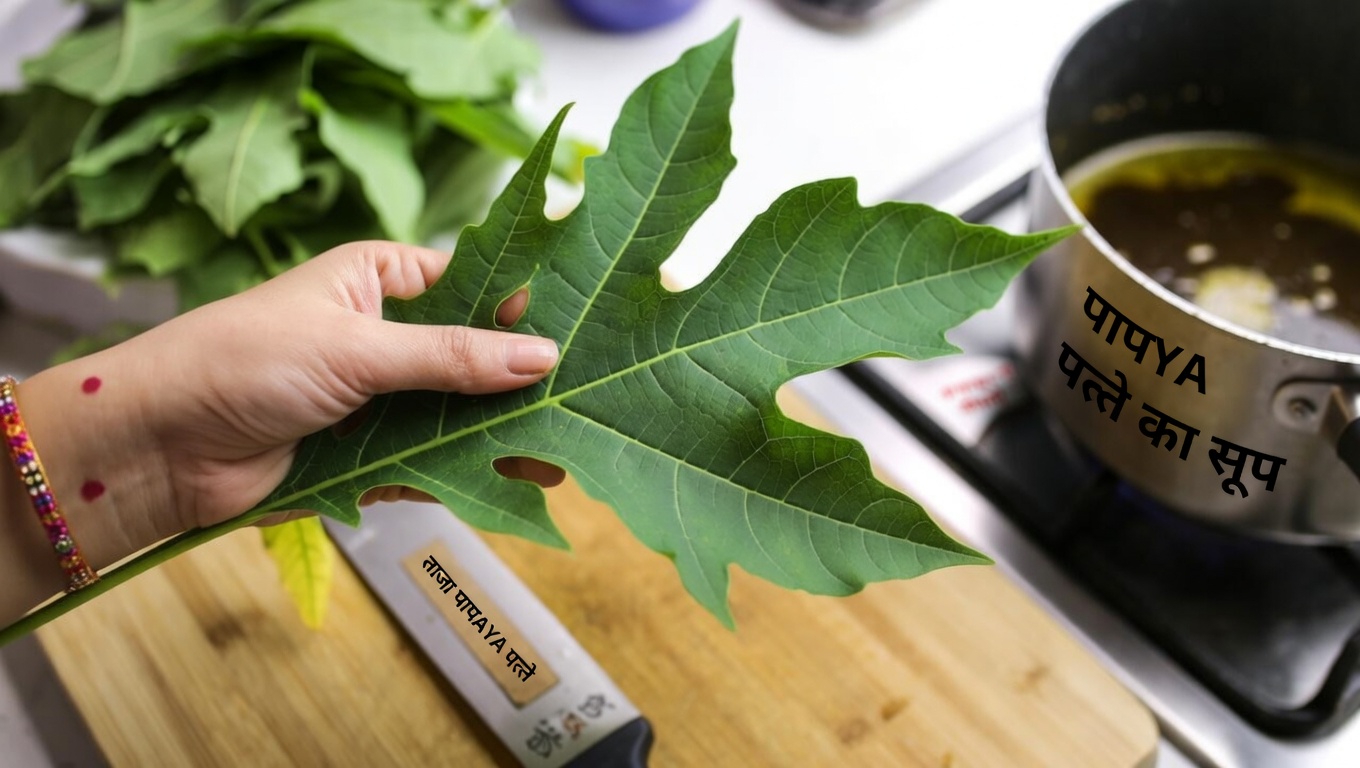 क्या पपीते की पत्तियां बालों और खोपड़ी को अधिक स्वस्थ बनाने में मदद कर सकती हैं? आज़माने के लिए दो आसान DIY तरीके