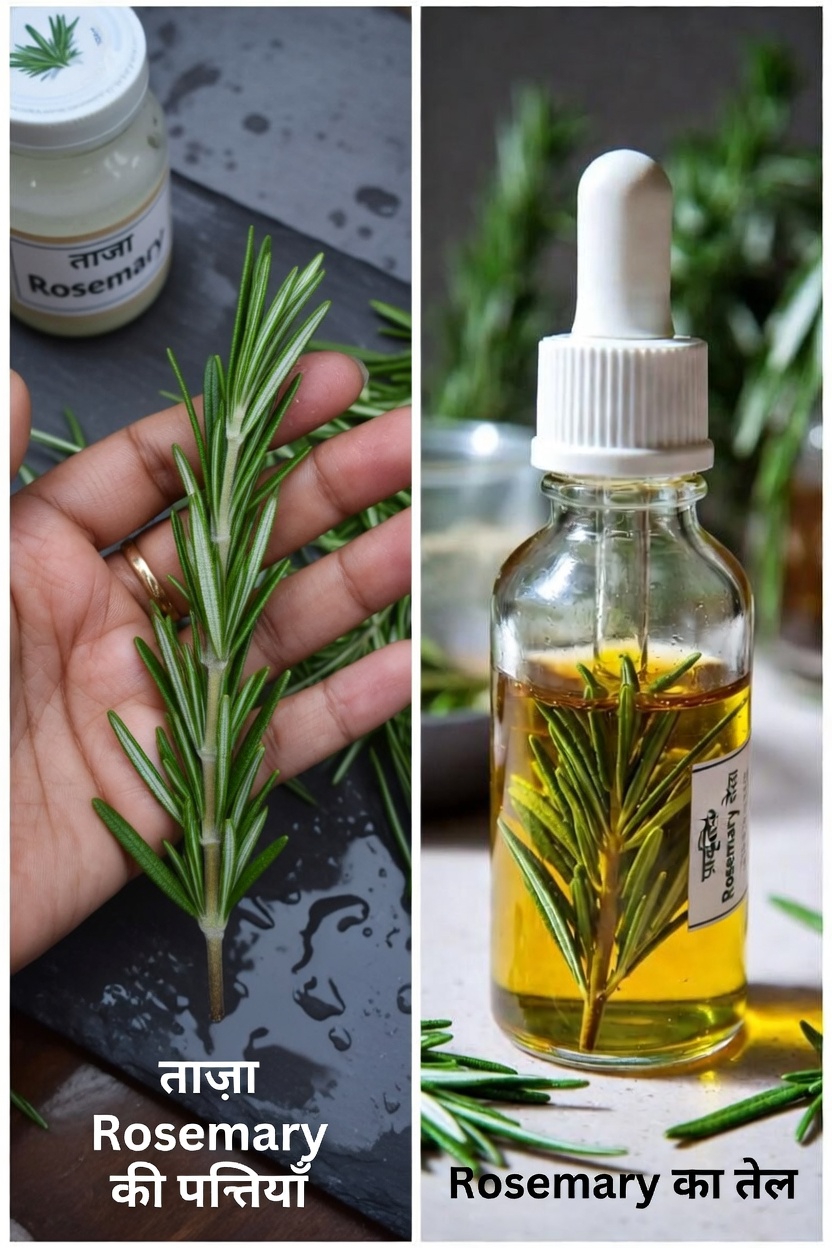 जानें कि घर पर अपनी साप्ताहिक वेलनेस रूटीन के लिए कैस्टर ऑयल और रोज़मेरी का मिश्रण कैसे तैयार करें
