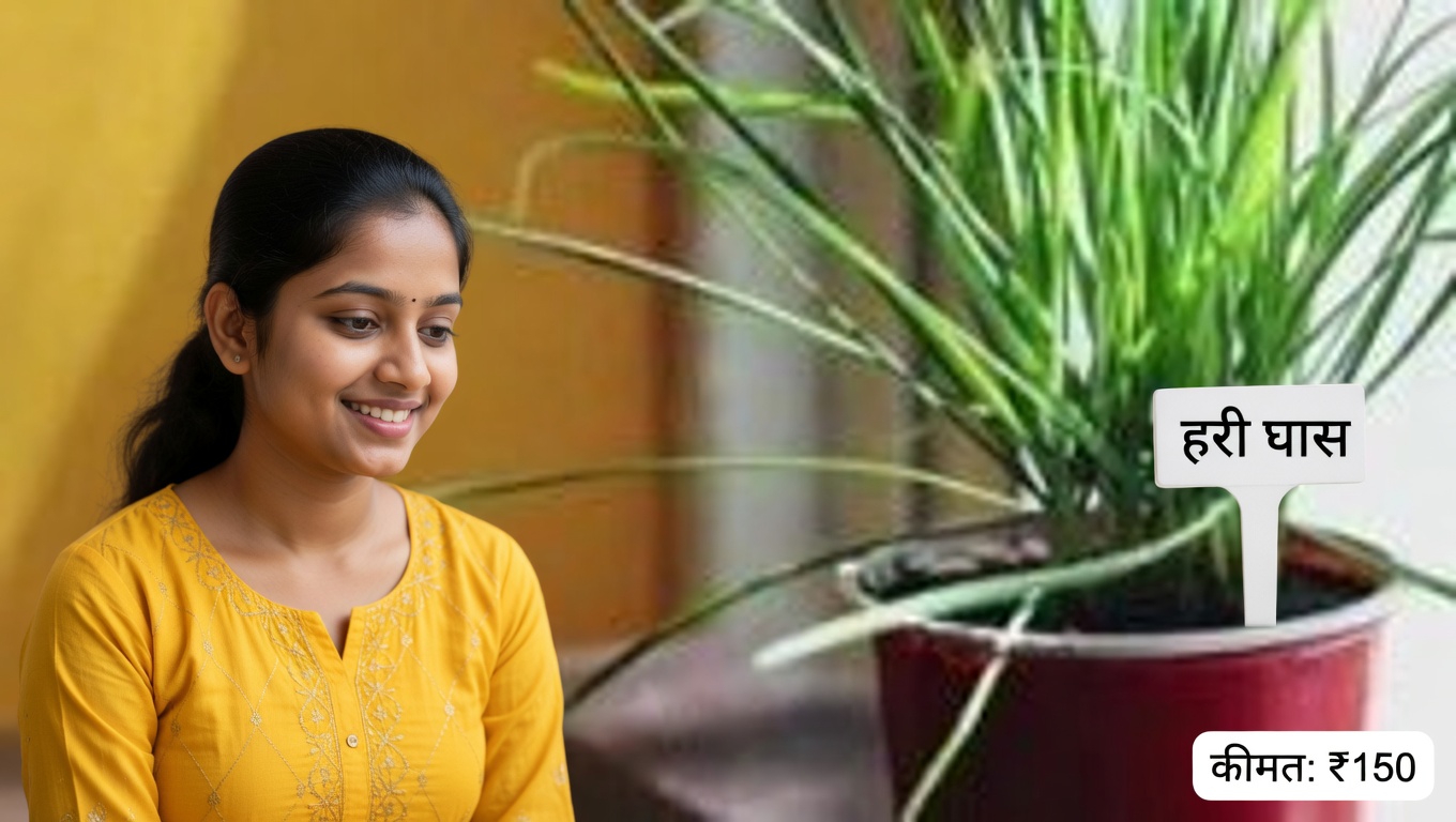 कैलेंडुला ऑफिसिनैलिस के शीर्ष 12 स्वास्थ्य लाभ