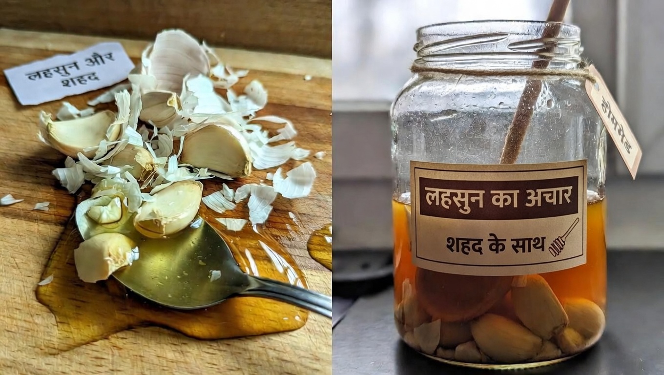 लहसुन और शहद: जानें 20 रोज़मर्रा के तरीके, जिनसे यह सरल मिश्रण आपकी वेलनेस दिनचर्या को सहारा देता है