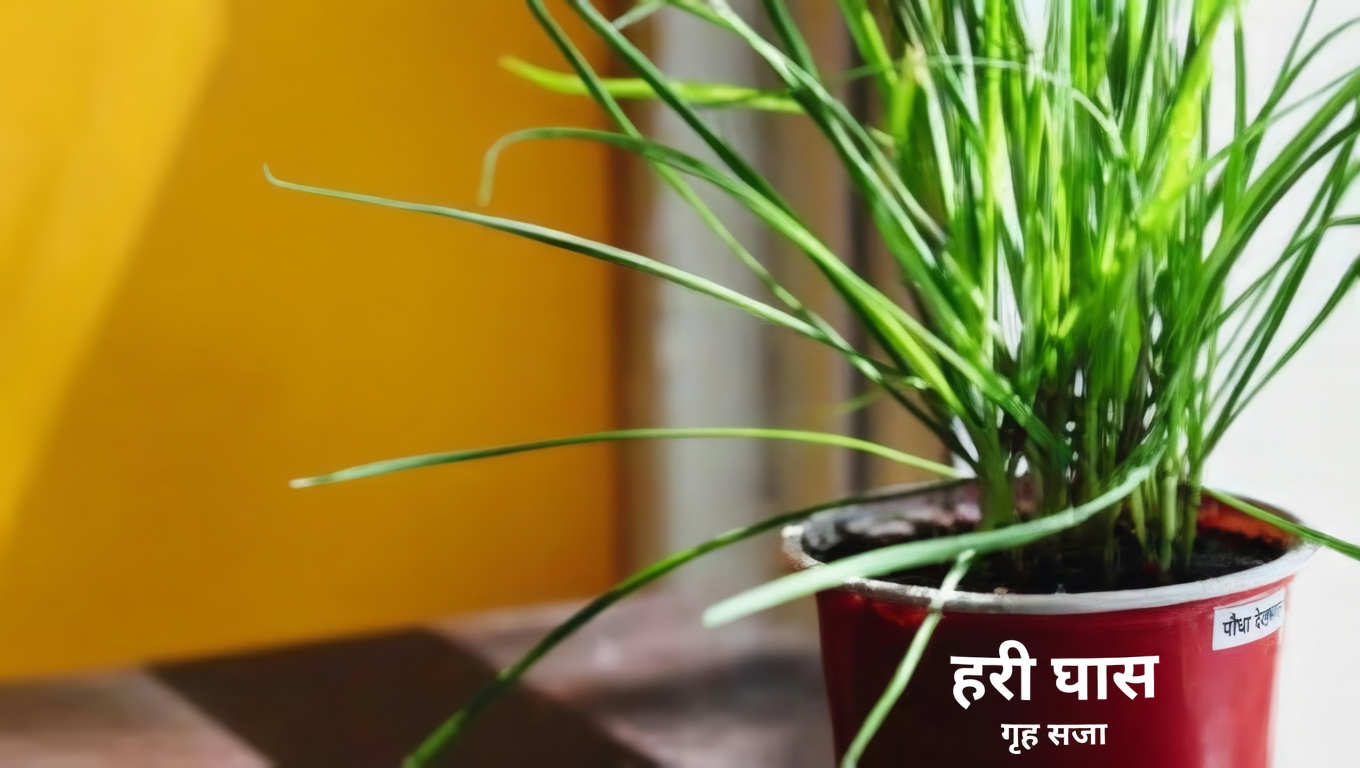 रेड क्लोवर: 15 अद्भुत लाभ और इस औषधीय जड़ी-बूटी का उपयोग कैसे करें