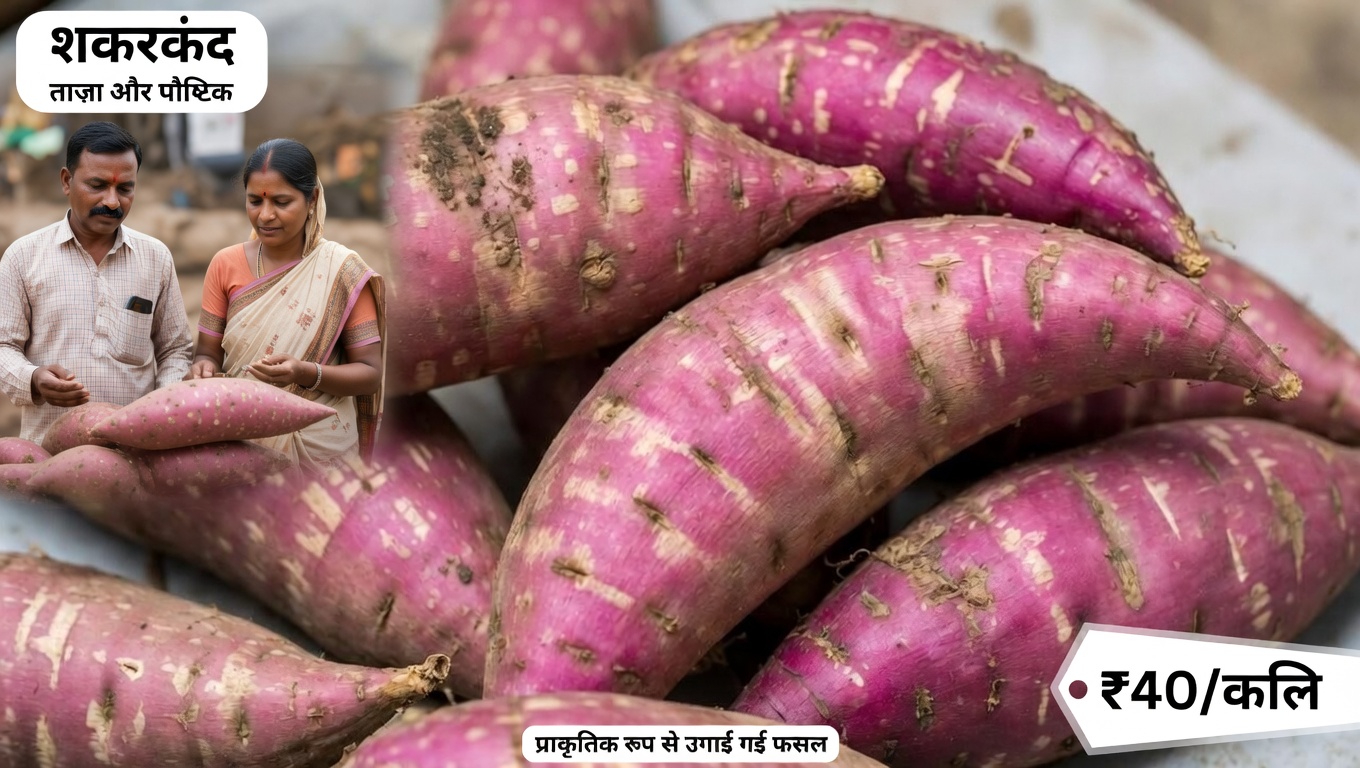 50 की उम्र के बाद बेहतर ऊर्जा, हृदय स्वास्थ्य और जोड़ों के समर्थन के लिए अपने दैनिक भोजन में शामिल करने योग्य 12 शक्तिशाली प्राकृतिक खाद्य पदार्थ