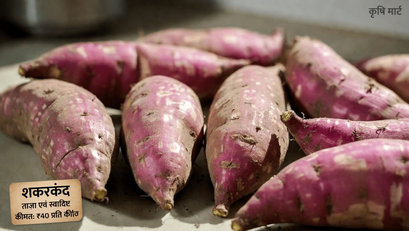 50 की उम्र के बाद बेहतर ऊर्जा, हृदय स्वास्थ्य और जोड़ों के समर्थन के लिए अपने दैनिक भोजन में शामिल करने योग्य 12 शक्तिशाली प्राकृतिक खाद्य पदार्थ