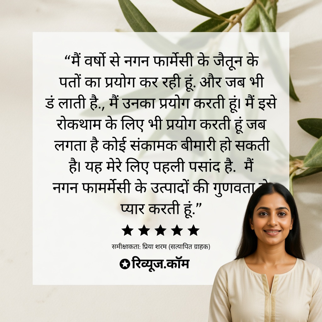 क्या जैतून की पत्ती स्वास्थ्य का समर्थन कर सकती है? प्राकृतिक हर्बल आदतों के बारे में विज्ञान वास्तव में क्या कहता है