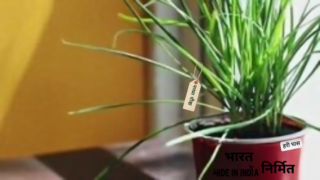 व्हाइट क्लोवर (ट्राइफोलियम रेपेंस): 15 लाभ और घरेलू उपयोग