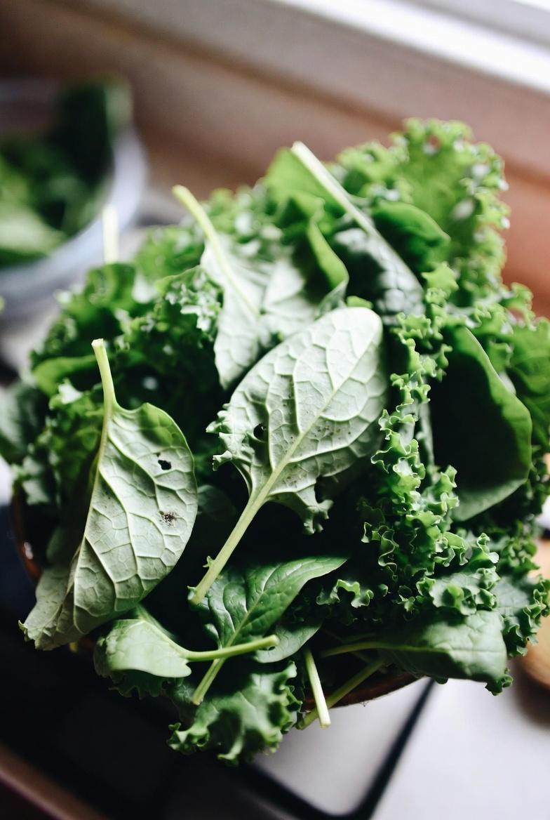 जानें कि विटामिन K बुजुर्गों में पैरों के स्वस्थ रक्त संचार को कैसे सहारा देता है