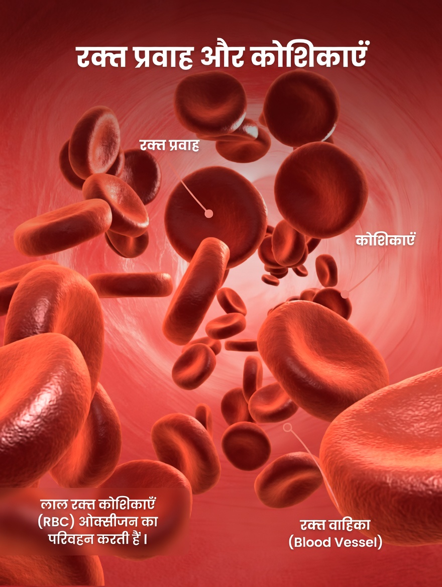 बेहतर दृष्टि के लिए एक कप: आंखों की रोशनी के लिए गाजर और चुकंदर के जूस के स्वास्थ्य लाभ