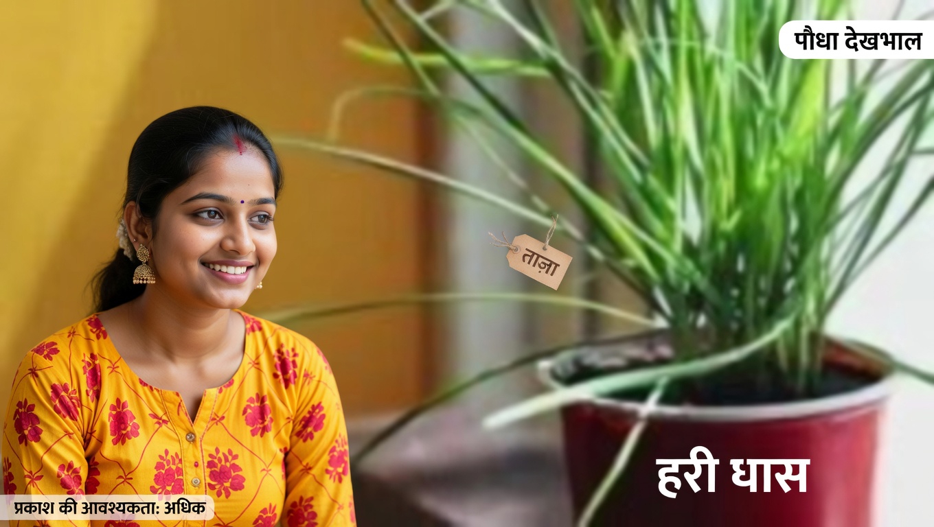 खरपतवार या चमत्कार? इन 4 आम पौधों में छिपे खजाने खोजें