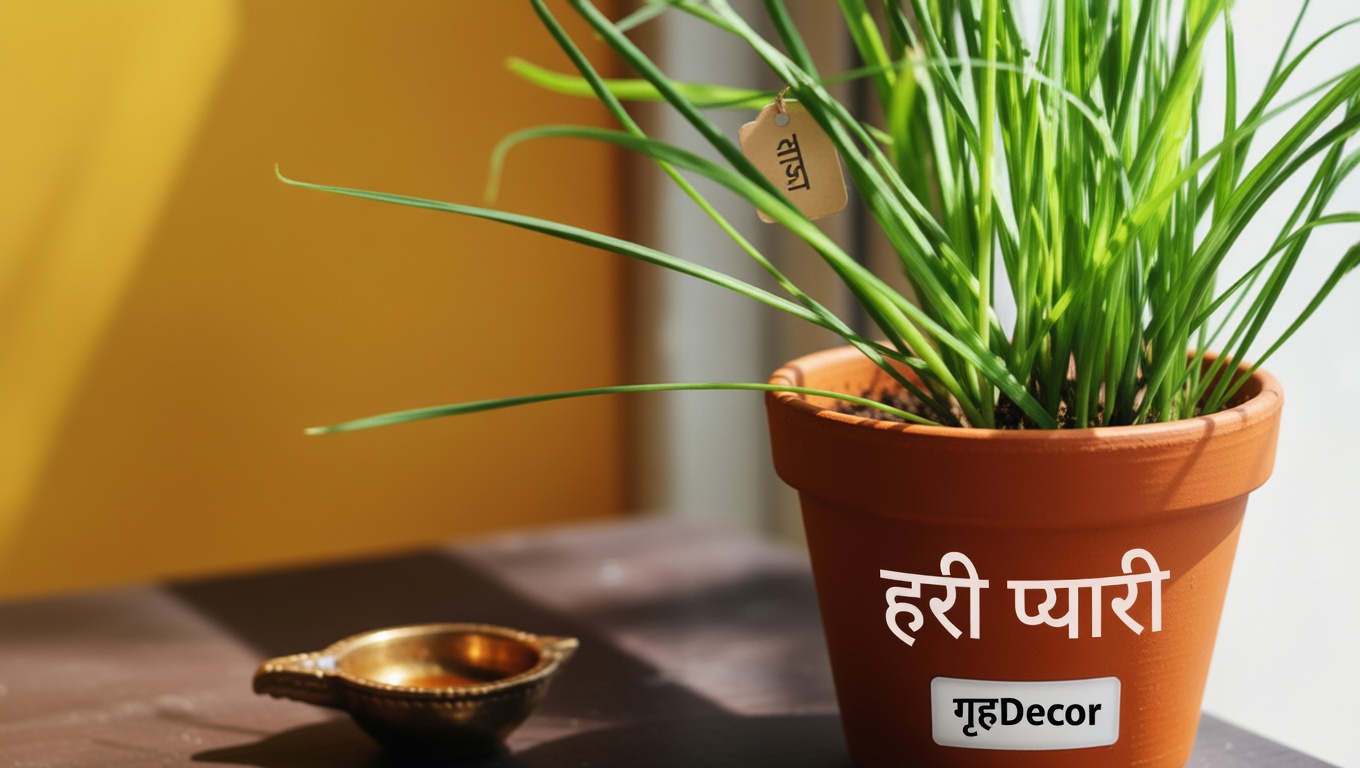 सफेद डेडनेटल (लैमियम एल्बम): 10 शक्तिशाली लाभ और घरेलू उपयोग