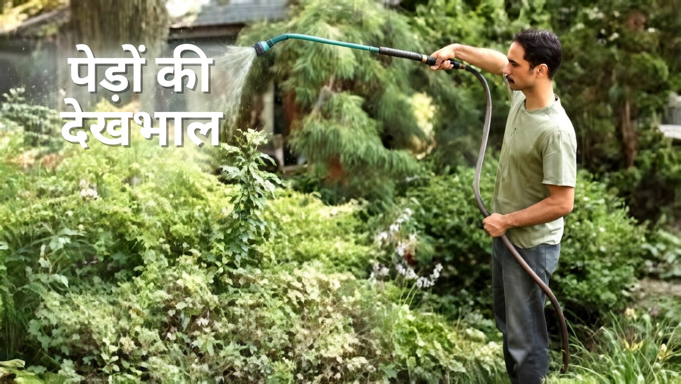 रोज़ लौंग चबाना: एक छोटी आदत जिसके स्वास्थ्य लाभ हैं बहुत बड़े