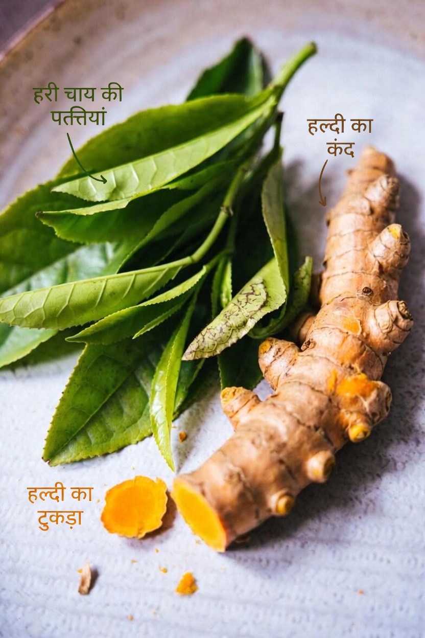 ग्रीन टी और हल्दी की वह सरल दैनिक आदत जो समग्र स्वास्थ्य और दीर्घायु का समर्थन करती है