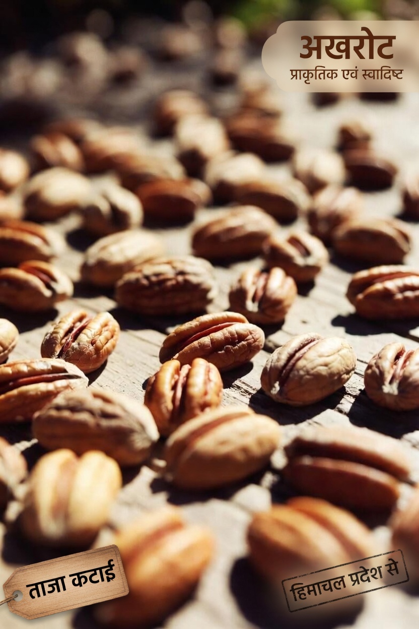 पेकान और प्रोस्टेट स्वास्थ्य: संतुलित आहार में इस मेवे के बारे में शोध क्या सुझाव देता है