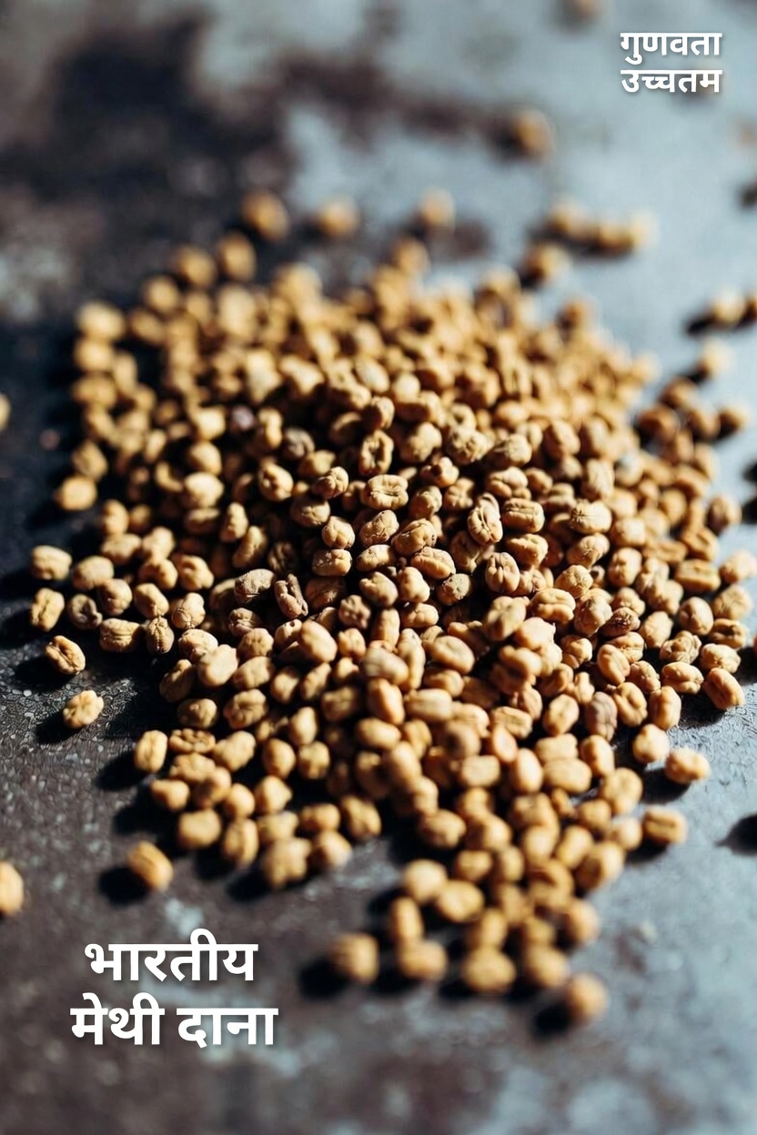 मेथी के बीजों की पड़ताल: इस प्राचीन मसाले के बारे में विज्ञान क्या संकेत देता है