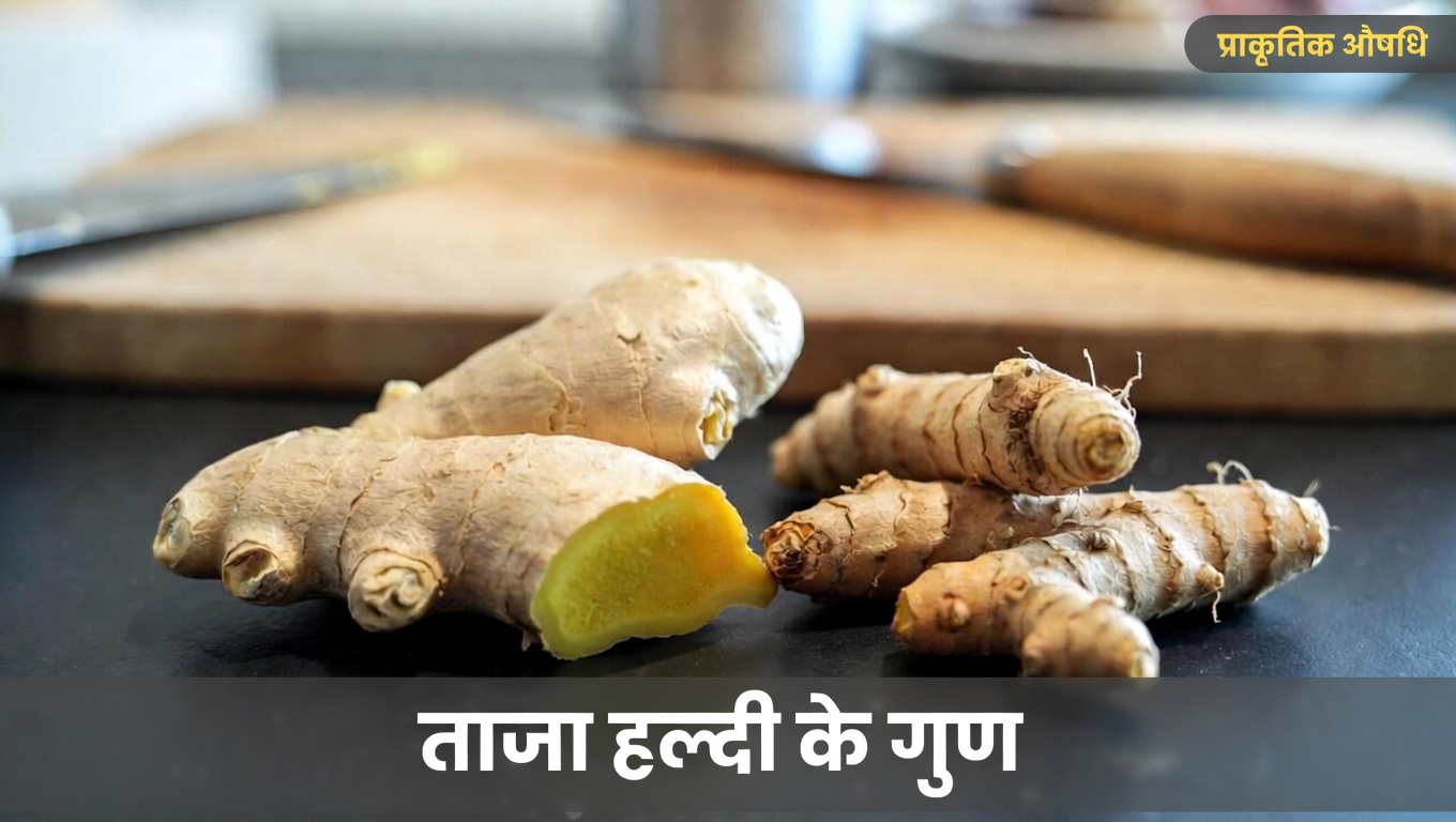 क्या रोज़मर्रा की आदतें और खाद्य पदार्थ आपके किडनी स्वास्थ्य को प्राकृतिक रूप से सहारा दे रहे हैं? बेहतर किडनी कार्यक्षमता को बढ़ावा देने के सरल तरीके जानें