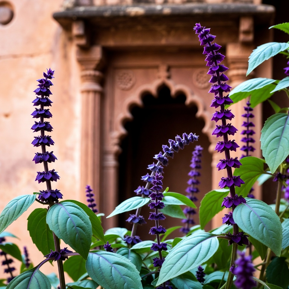 तुलसी के फूलों के उपयोग और लाभ