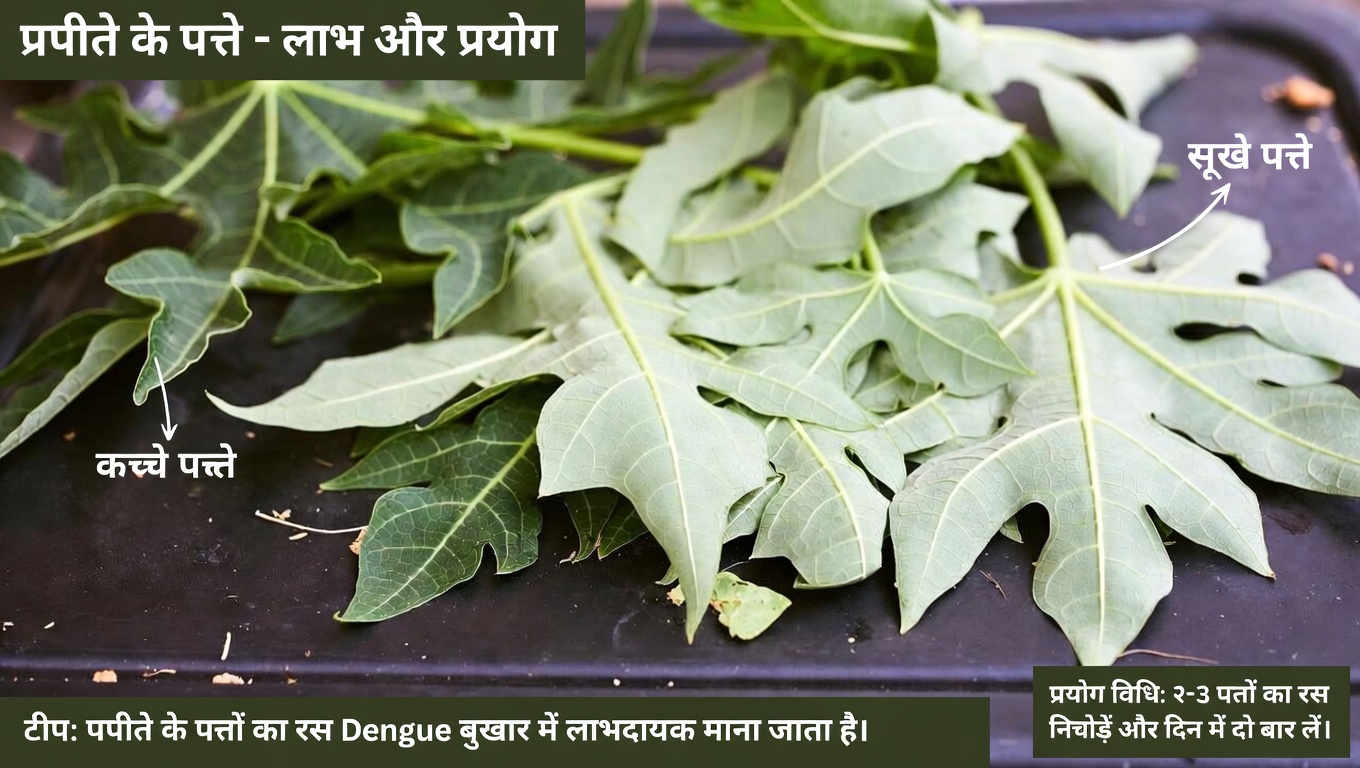 बालों की देखभाल के लिए पपीते के पत्तों की क्षमता की खोज: विचार करने योग्य एक प्राकृतिक विकल्प