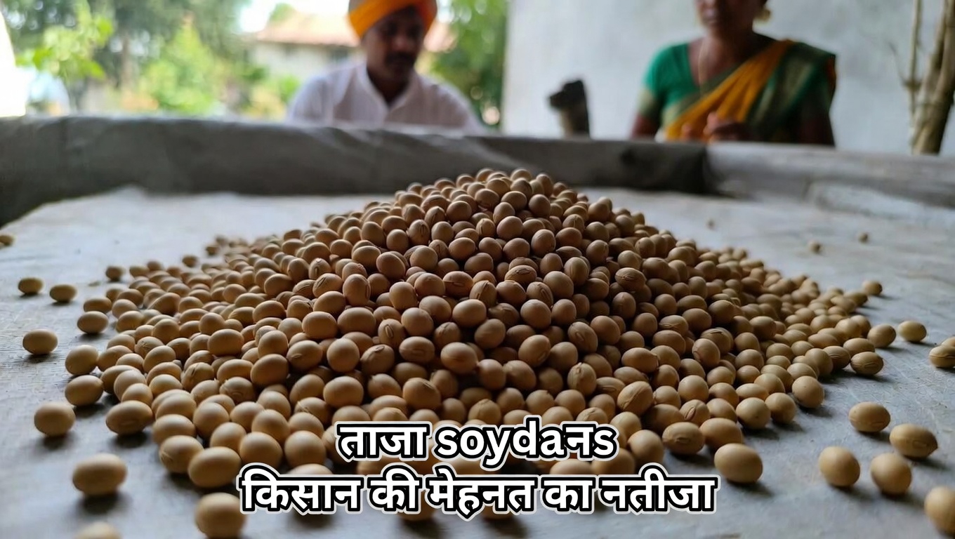 किडनी के स्वास्थ्य के लिए प्रोटीन का चयन क्यों महत्वपूर्ण है