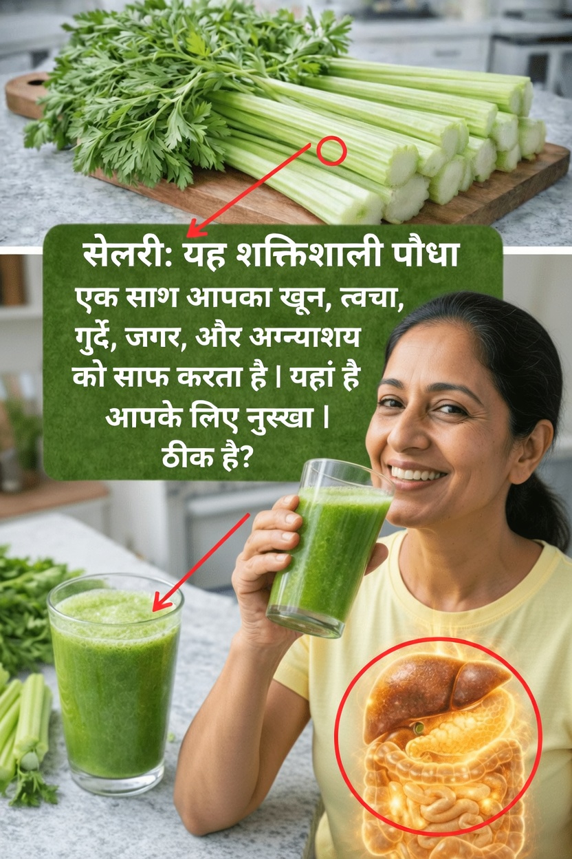 क्या अपनी सुबह की दिनचर्या में सेलरी जूस शामिल करना फायदेमंद है? इसके लाभों पर एक नज़दीकी नज़र और इसे बनाने का तरीका