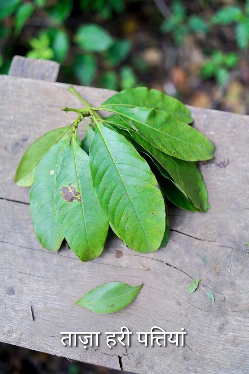 हृदय स्वास्थ्य के समर्थन में अमरूद की पत्तियों की चाय की संभावनाओं की खोज