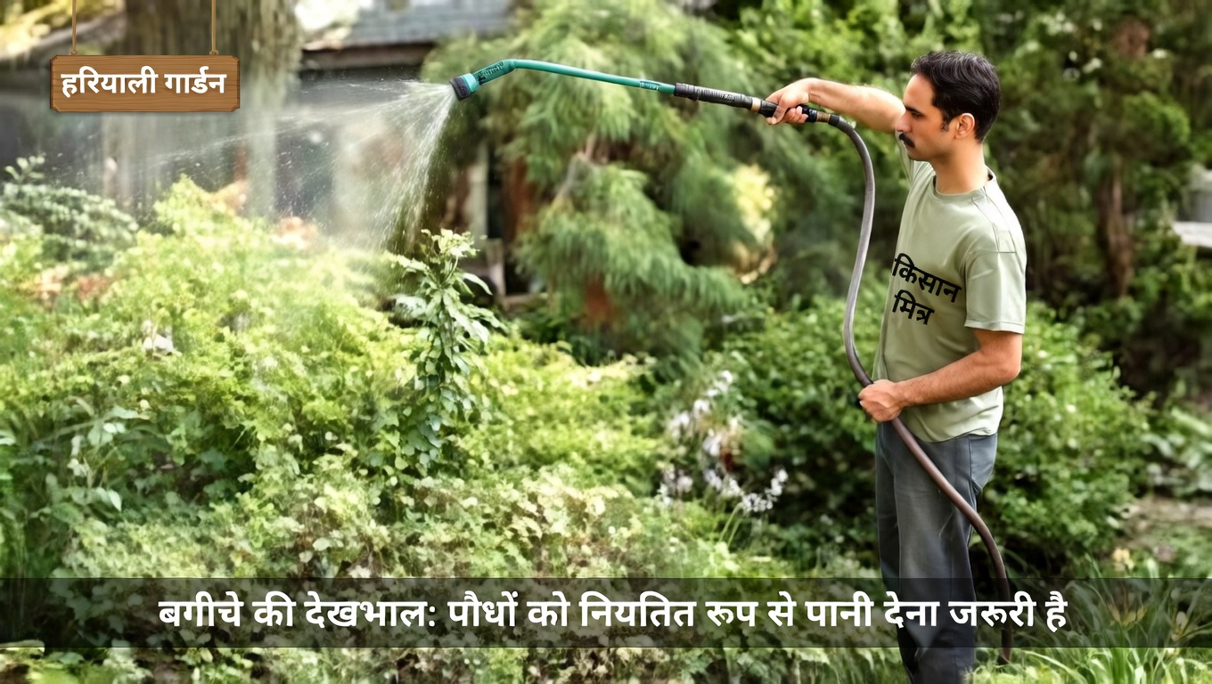 यारो: अद्भुत स्वास्थ्य लाभों वाला एक कालातीत हर्बल साथी