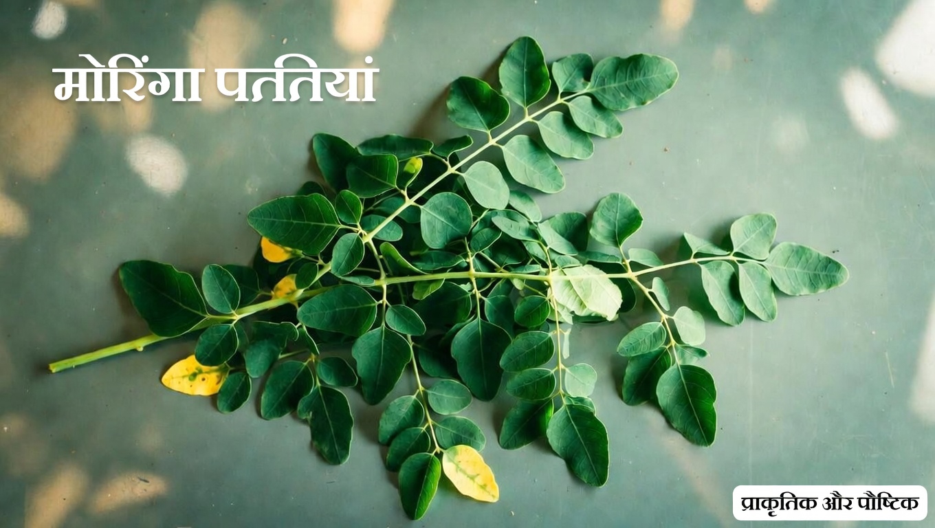 तीन पोषक तत्वों से भरपूर पत्ते जो आपके शरीर की प्राकृतिक रक्षा का समर्थन कर सकते हैं