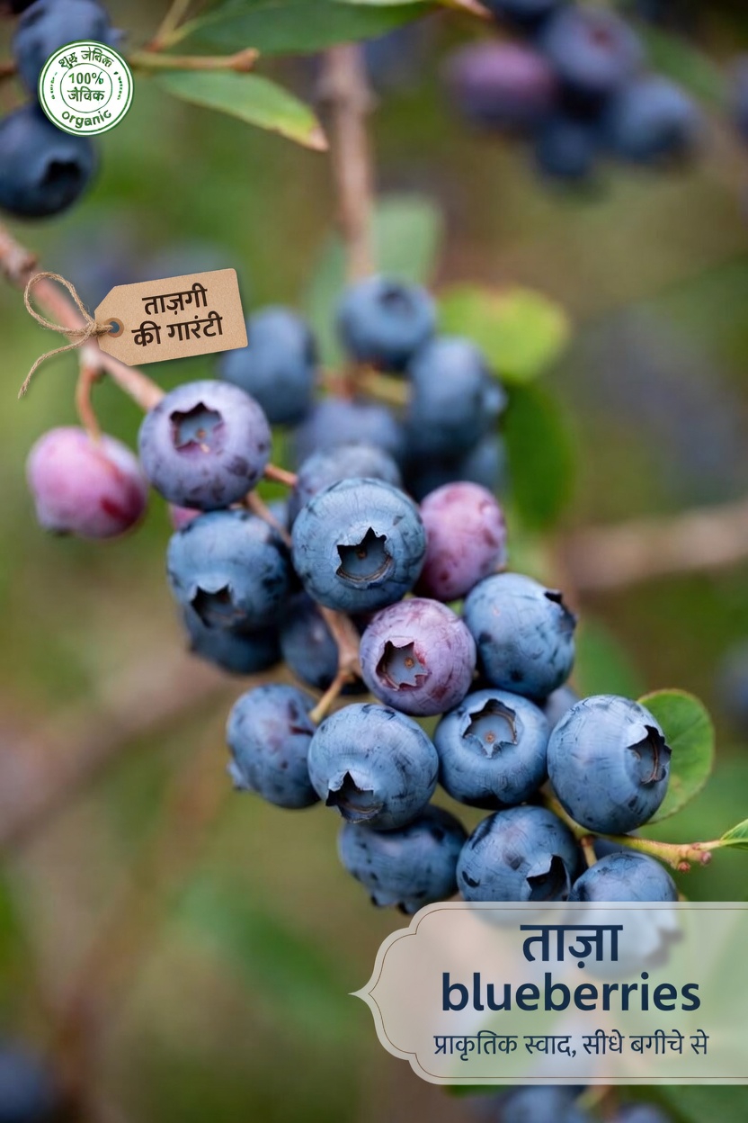 रातभर किडनी के स्वास्थ्य को सहारा देने के लिए सोने से पहले बुजुर्गों के लिए खाने योग्य 4 बेहतरीन फल