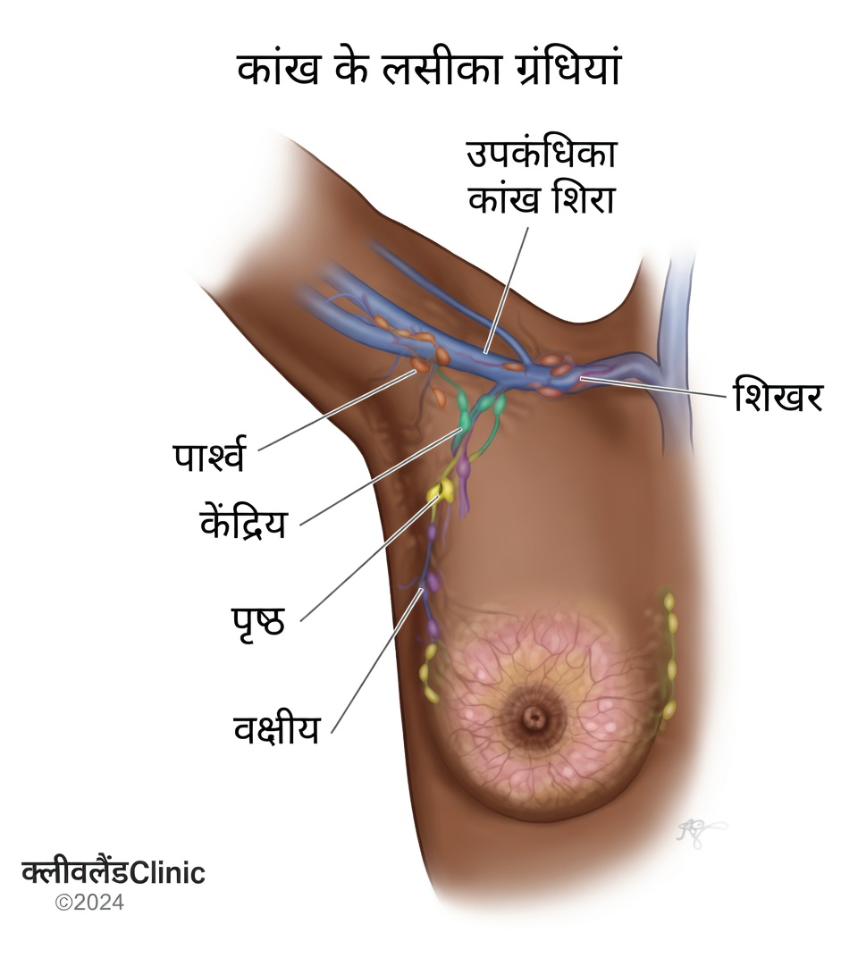 बगल के लसीका ग्रंथियों को समझें: रोज़मर्रा की आदतें जो आपके ऊपरी शरीर को हल्का और सहारा मिला हुआ महसूस करने में मदद करें