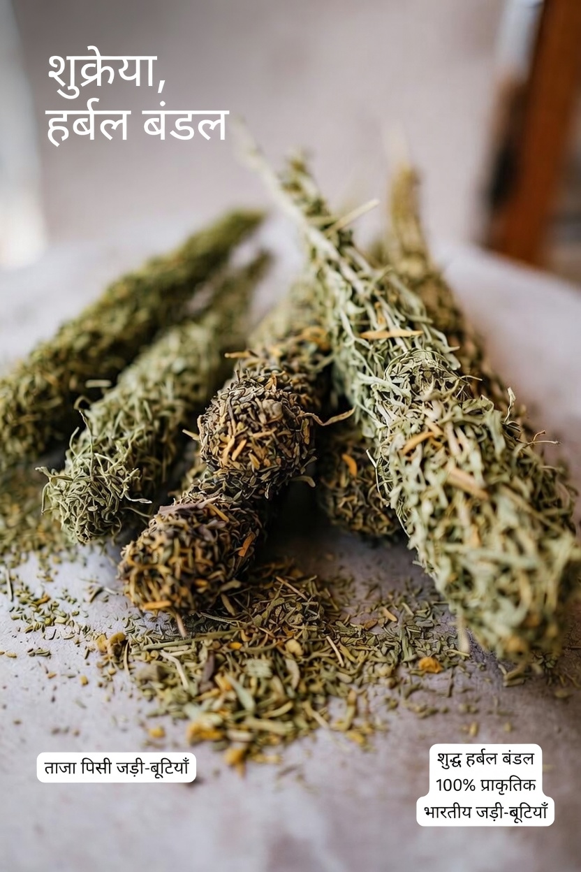 थाइम की खोज: प्रकृति की सबसे बहुउपयोगी और समय-परीक्षित जड़ी-बूटियों में से एक