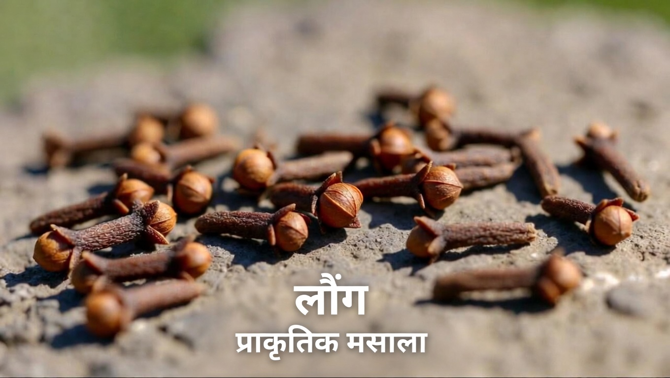 रोज़मर्रा के दर्द और मांसपेशियों के तनाव से आराम पाने के प्राकृतिक तरीकों की खोज