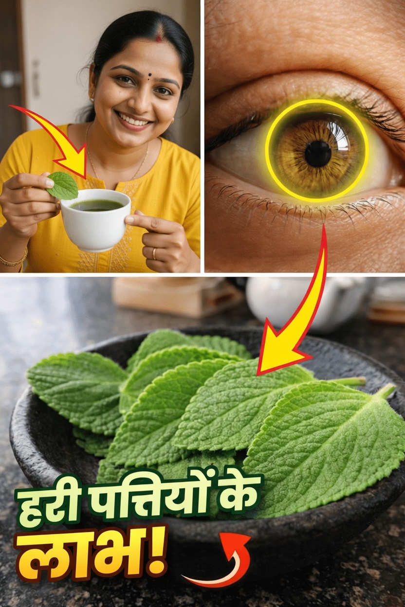 जानें कि संभावित नेत्र स्वास्थ्य समर्थन और वेलनेस लाभों के लिए भारतीय अजवायन को अपनी दैनिक दिनचर्या में कैसे शामिल करें