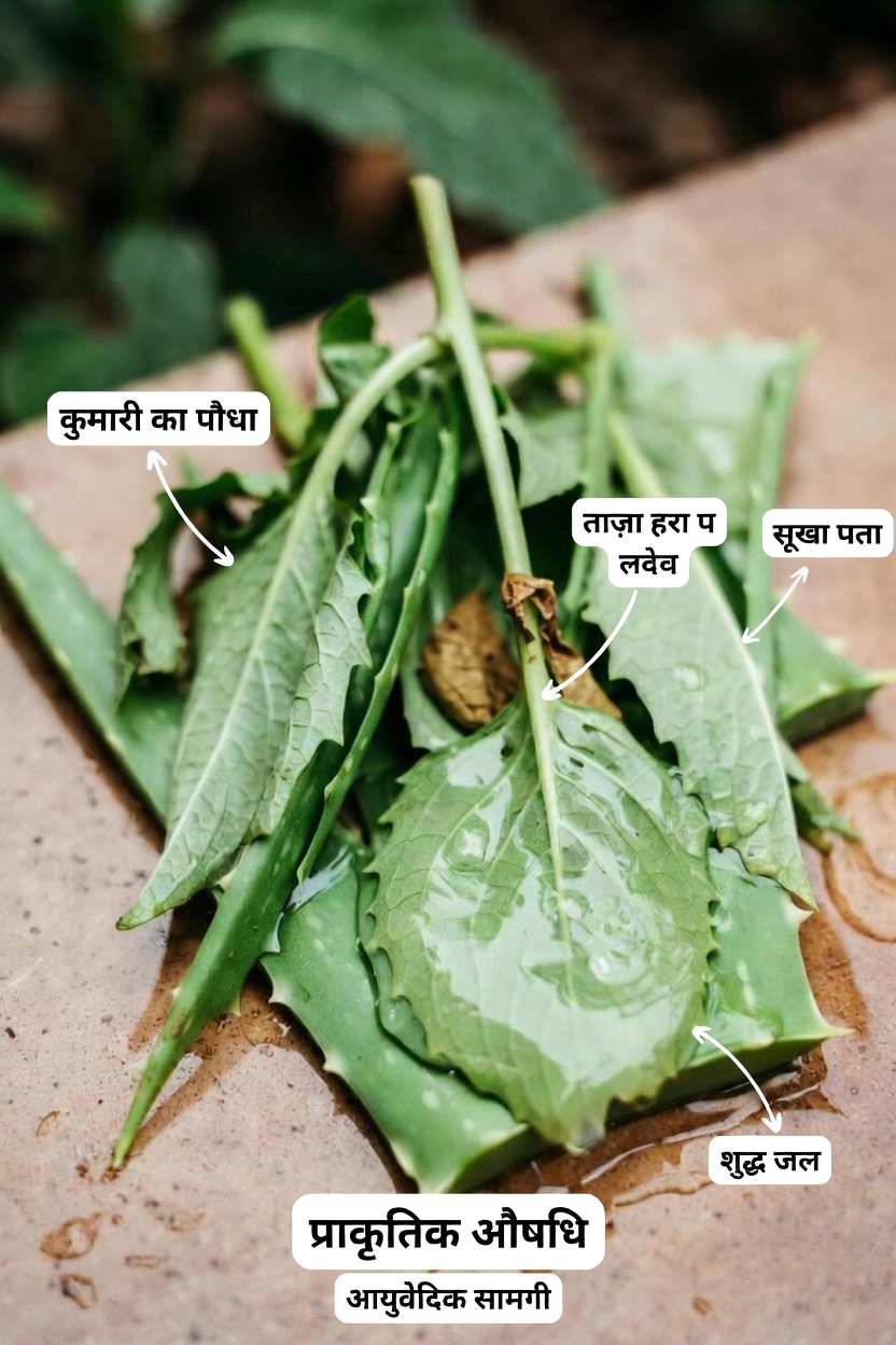 जानें कि संभावित नेत्र स्वास्थ्य समर्थन और वेलनेस लाभों के लिए भारतीय अजवायन को अपनी दैनिक दिनचर्या में कैसे शामिल करें