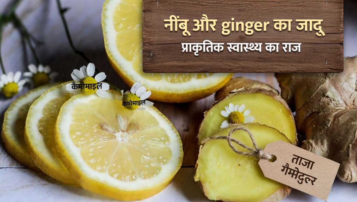 4 सरल सोने से पहले के पेय जो रातभर किडनी के स्वास्थ्य और शरीर में पानी की कमी न होने में मदद कर सकते हैं