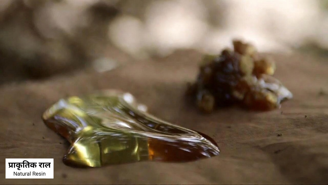 पुराने डॉक्टरों का रहस्य: कच्चे शहद पर अरंडी के तेल की 2 बूंदें 65 से अधिक उम्र की महिलाओं के स्वास्थ्य का समर्थन कैसे कर सकती हैं