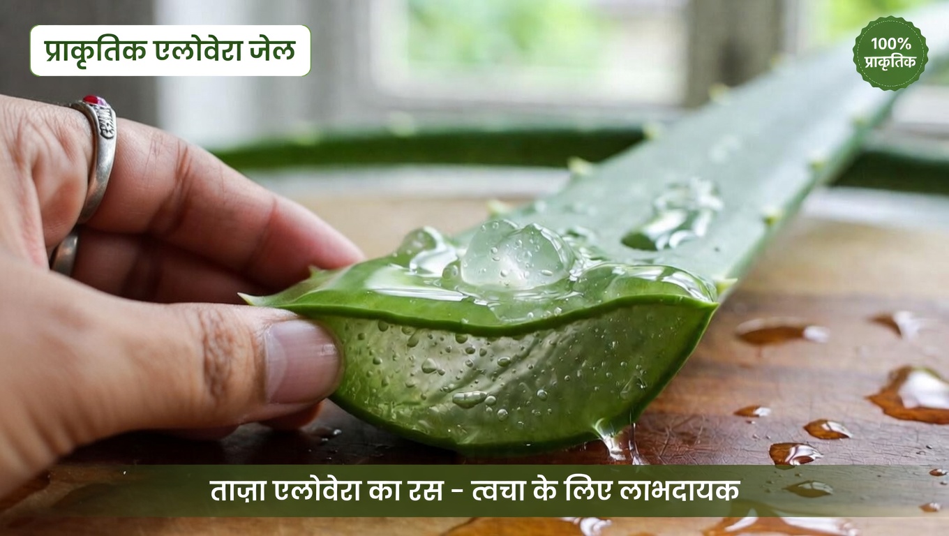 एलोवेरा और नारियल तेल से बना सरल घरेलू मॉइस्चराइज़र, जो त्वचा को हाइड्रेटेड और युवा दिखने वाला बनाता है